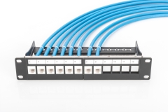 12PORT-PATHC-PANEL